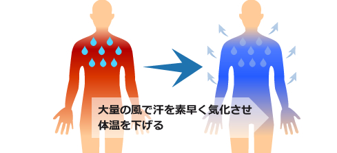 大量の風で汗を素早く気化させ体温を下げる