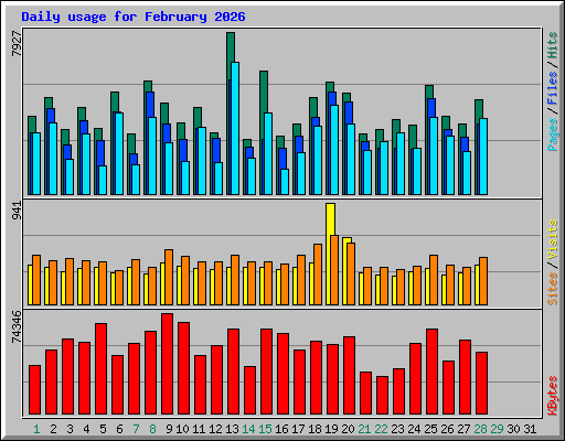 Daily usage for February 2026