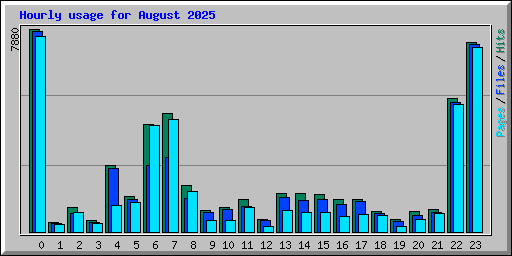 Hourly usage for August 2025