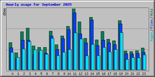 Hourly usage for September 2025