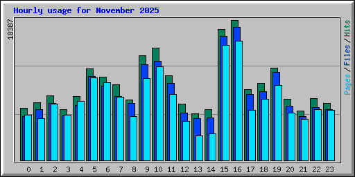 Hourly usage for November 2025
