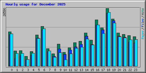 Hourly usage for December 2025