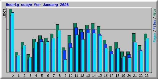 Hourly usage for January 2026