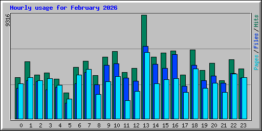 Hourly usage for February 2026