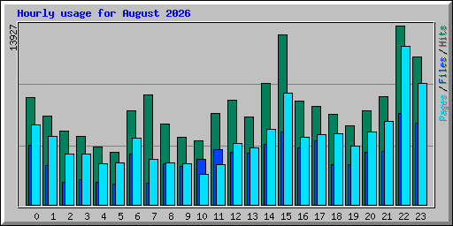 Hourly usage for August 2026